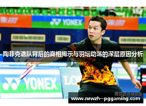 陶菲克退队背后的真相揭示与羽坛动荡的深层原因分析