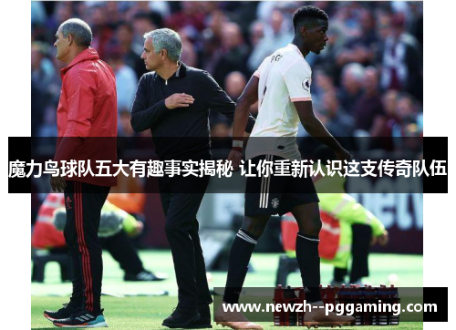 魔力鸟球队五大有趣事实揭秘 让你重新认识这支传奇队伍