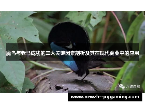 魔鸟与老马成功的三大关键因素剖析及其在现代商业中的应用