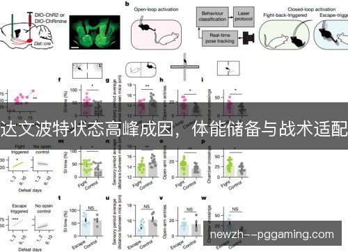达文波特状态高峰成因,体能储备与战术适配 达文波特状态高峰成因,体能储备与战术适配